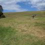 James Oates Reserve