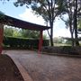 Auburn Botanic Gardens - Japanese Garden
