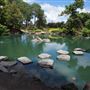 Auburn Botanic Gardens - Japanese Garden