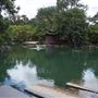 Auburn Botanic Gardens - Japanese Garden