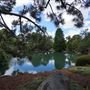 Auburn Botanic Gardens - Japanese Garden
