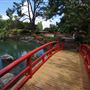 Auburn Botanic Gardens - Japanese Garden