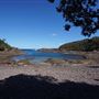 Bass Point Reserve