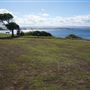 Bass Point Reserve