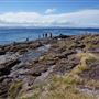 Bass Point Reserve