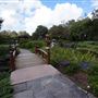 Edogawa Japanese Garden