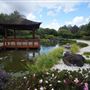 Edogawa Japanese Garden