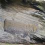 Goat Island