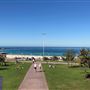 Bondi Beach