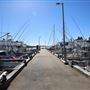 Bermagui