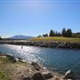 Bermagui