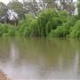 Whylandra Crossing, Dubbo