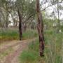 Whylandra Crossing, Dubbo