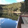 Woronora