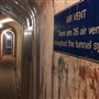 North Head Sanctuary - North Fort Tunnel & Fortifications