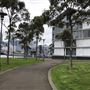 Ballaarat Park - Pyrmont