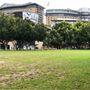 Pyrmont Bay Park
