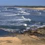 Sawtell