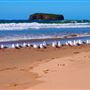 Mystics Beach (Minnamurra Beach) - Killalea State Park