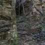 Mermaid's Cave