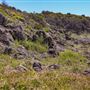 Mystics Beach (Minnamurra Beach) - Killalea State Park