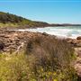 Mystics Beach (Minnamurra Beach) - Killalea State Park