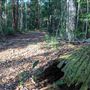 Clarrie Hall Dam