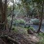 Clarrie Hall Dam