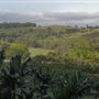 Coolamon Scenic Drive in the Byron Bay Hinterlands