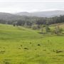 Coolamon Scenic Drive in the Byron Bay Hinterlands