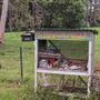 Coolamon Scenic Drive in the Byron Bay Hinterlands