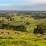Coolamon Scenic Drive in the Byron Bay Hinterlands