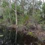 Tyagarah Nature Reserve