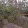 Tyagarah Nature Reserve