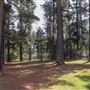 Jenolan State Forest