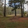 Jenolan State Forest