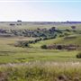 Taralga countryside