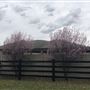 East Tamworth