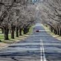 Armidale