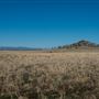 Gunnedah