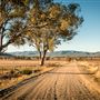 Quirindi