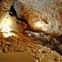 Wellington Caves Complex