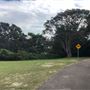 Nielsen Park