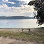 Nielsen Park