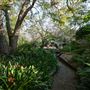 Camelia Gardens