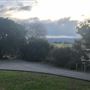 Mick Ryan Park - Big Fig Tree