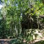 Glengariff Estate Rainforest