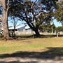 Narooma