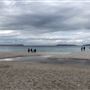 Hyams Beach - Jervis Bay