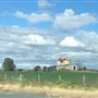Bolong Farms